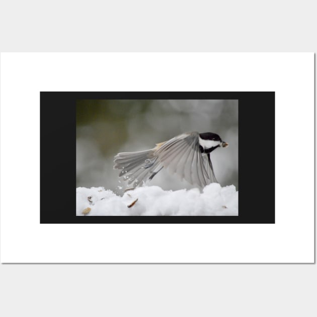 Chickadee in flight Wall Art by LaurieMinor